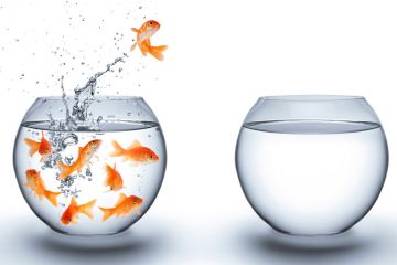 Goldfish